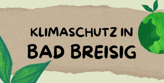 Klimaschutzmanager/in