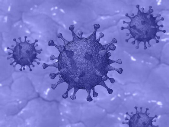 Informationen zum Corona-Virus