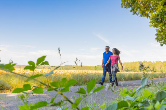 Wanderung auf der 1. Etappe der Eifelleiter am 4. Oktober