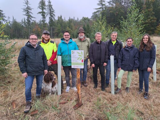 Zukunftswald der Stadt Bad Breisig wächst weiter