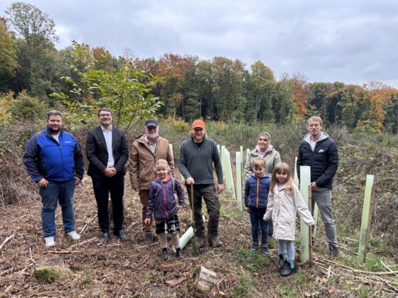 Erfolgreiche Fortführung des „Zukunftswald“ in Waldorf