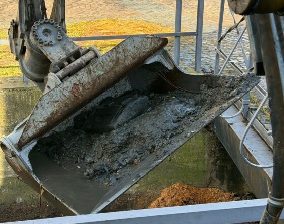 Saubere Flüsse bieten Schutz vor Hochwasser