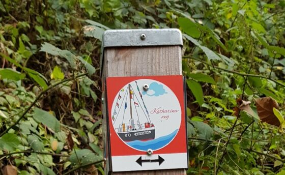 Geführte Wanderung „Die steinreiche Eifel“ –am 1. August