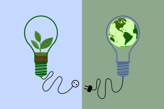 Energiemanager/in
